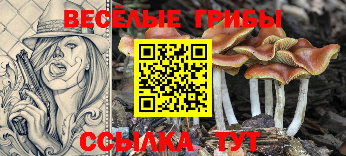 Галлюциногенные грибы прущие грибы Железногорск
